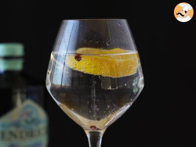 Gin z tonikiem, niezbędny koktajl aperitif! - zdjęcie 2