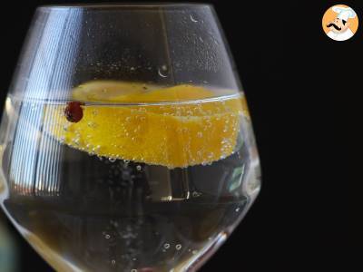 Gin z tonikiem, niezbędny koktajl aperitif! - zdjęcie 5