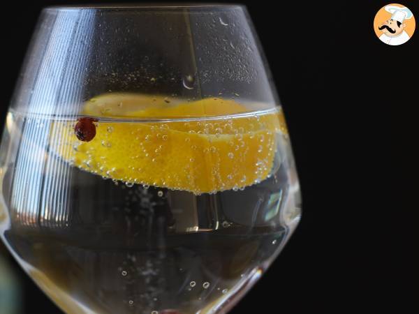 Gin z tonikiem, niezbędny koktajl na aperitif! - zdjęcie 5